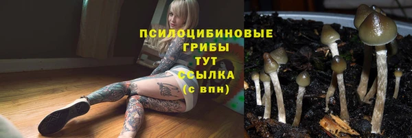 гидропоника Лиски