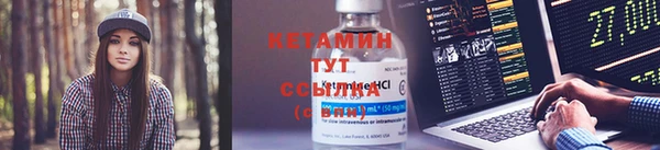 трава Балахна