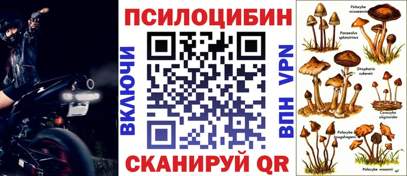 даркнет сайт  Петров Вал  Галлюциногенные грибы GOLDEN TEACHER 